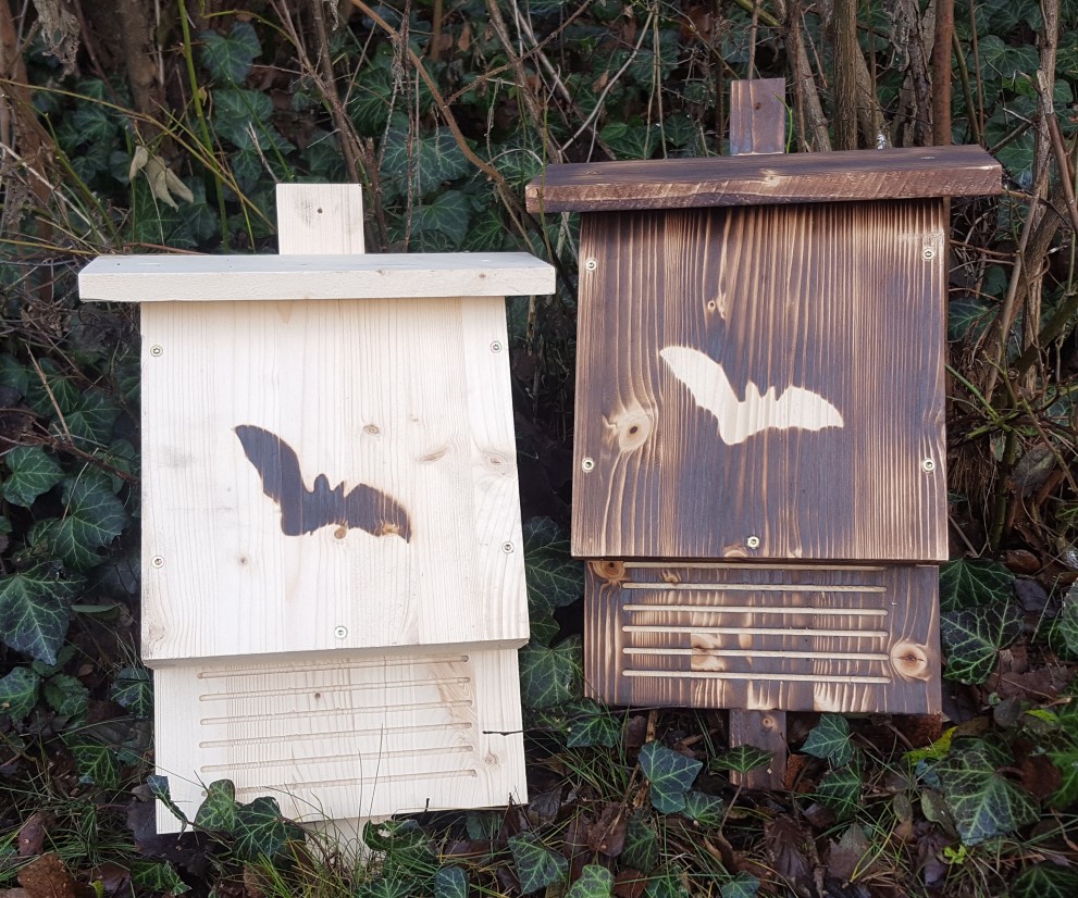 /uploads/media/991x/01/351-20161213_103647.jpg?v=1-0