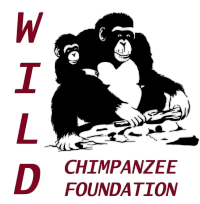 Logo-WCF-red-Photoroom