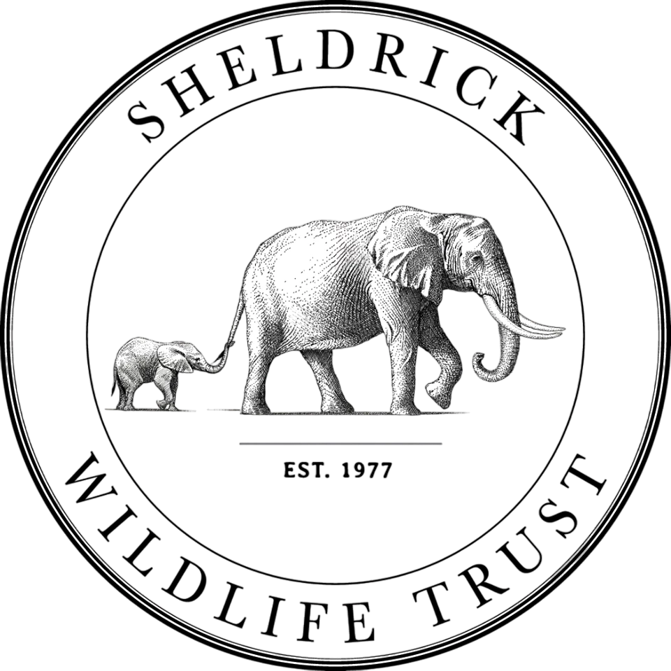 LOgo_Sheldrick-Trust-Photoroom