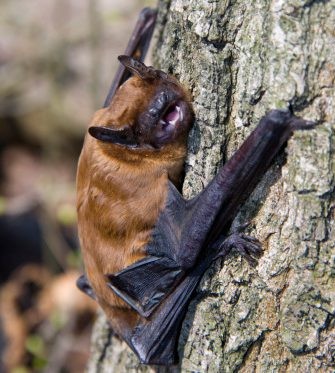 ThinkstockPhotos-4792140155-e1559547153261