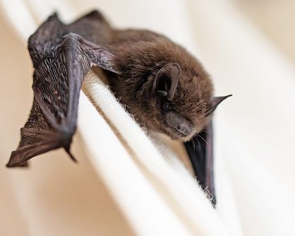 ThinkstockPhotos-583855512-e1559285414272