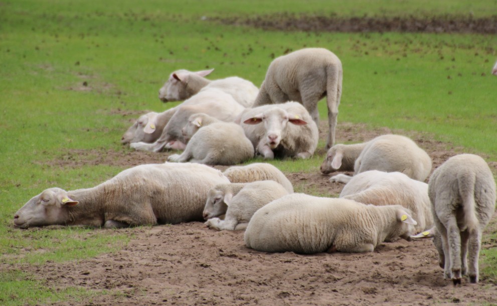 /uploads/media/991x/09/349-IMG_6221-1.jpg?v=1-0