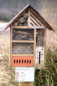 Insektenhotel